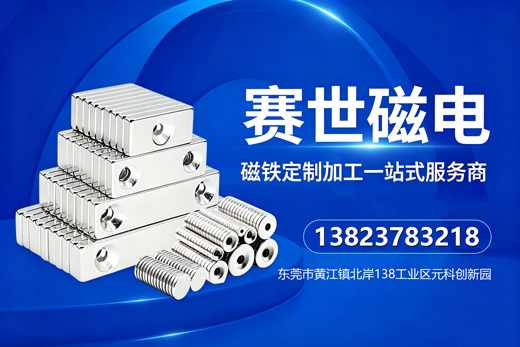 赛世磁电清远线上分站
